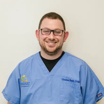 Dr. Charles Berk, Managing Veterinary at Tribeca Soho Animal Hospital